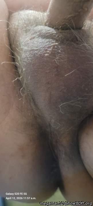 Photo of a snake from megaman10