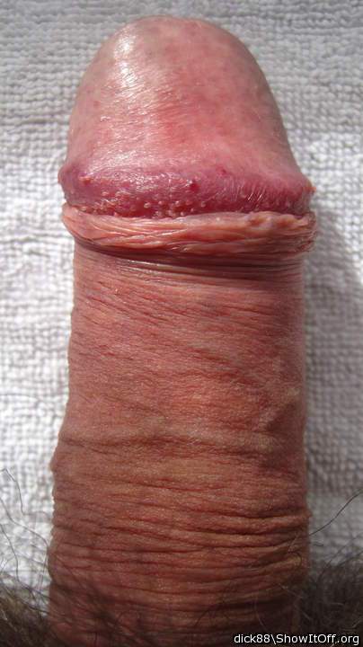 Photo of a boner from Dick88