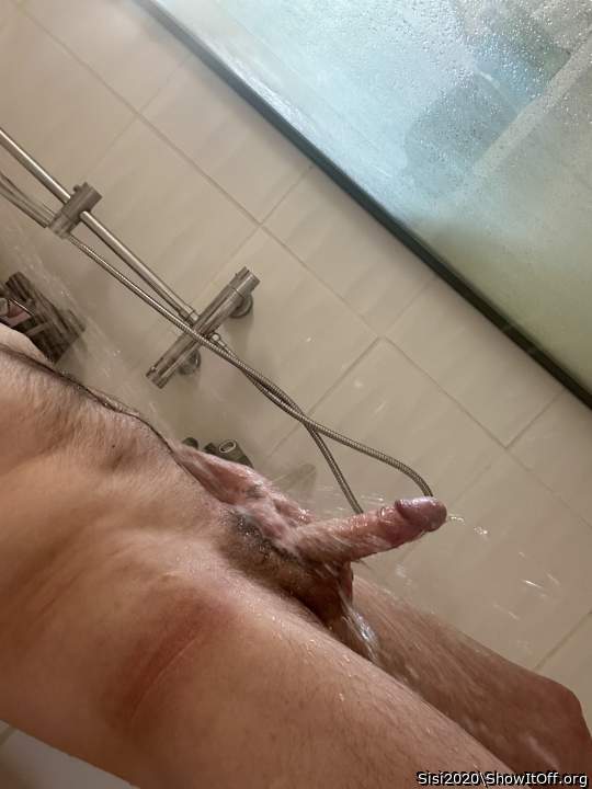 Photo of a rooster from Sisi2020