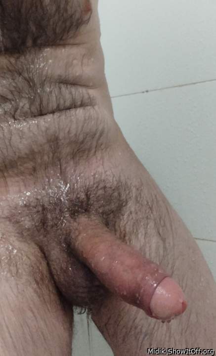 Photo of a snake from Midik