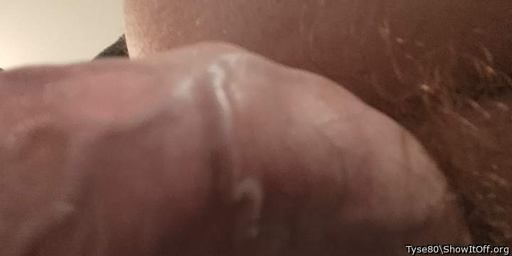 Photo of a middle leg from Tyse80
