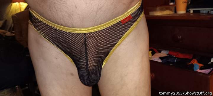 Photo of a rooster from tommy2063