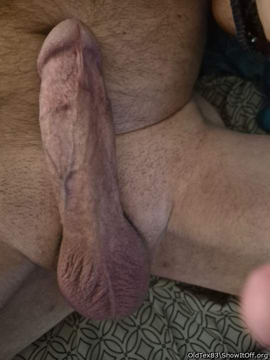 Photo of a bat from OldTex83