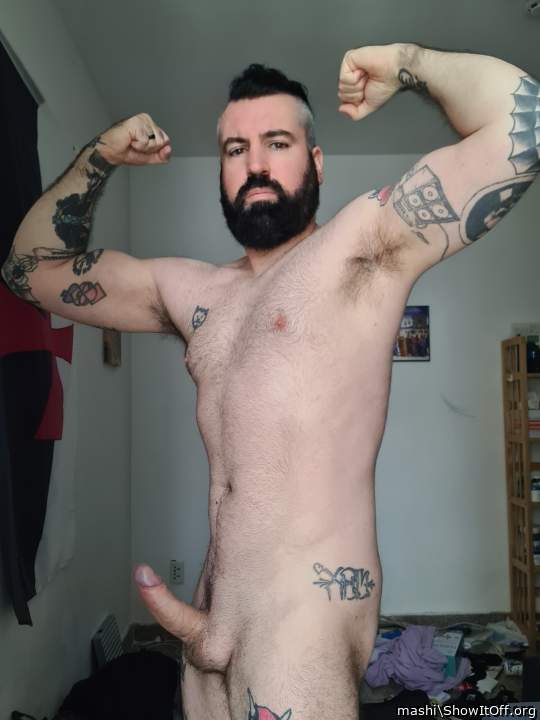 Photo of a cock from mashi