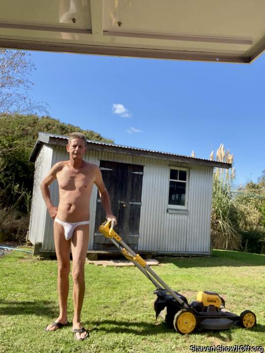 Photo of a stiffie from Shaven