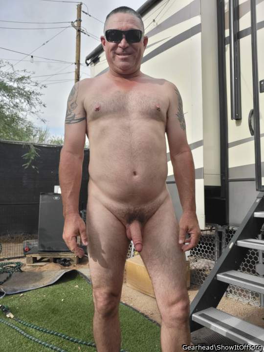 Photo of a weasel from Gearhead