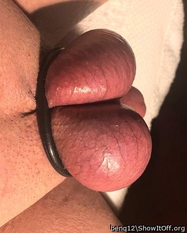 Testicles Photo from benq12