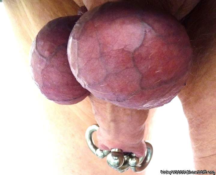 Balls above Cock