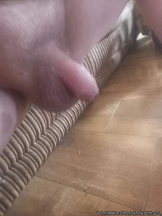 Photo of a short leg from Rob1988farmboy