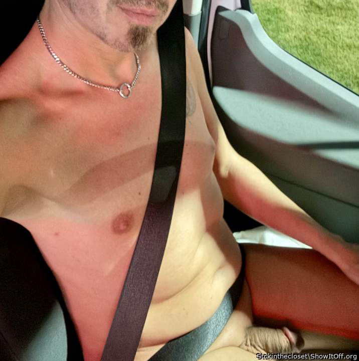 Photo of a rooster from Stckinthecloset