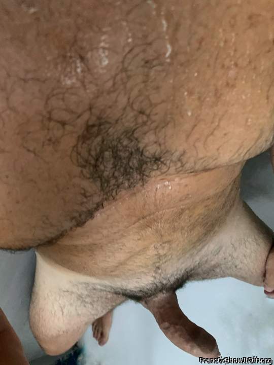 Photo of a python from Franc0