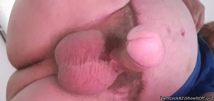 Photo of a rooster from Bentcock82