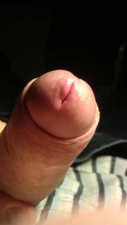 Photo of a boner from Vanillacum