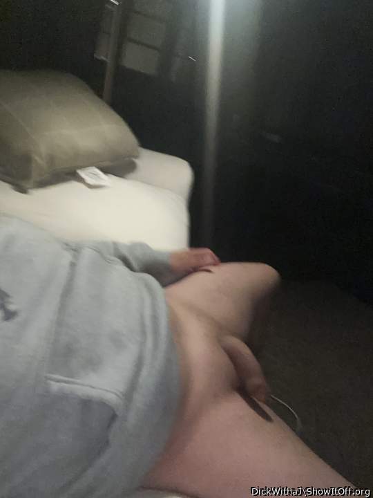 Photo of a lizard from DickWithaJ