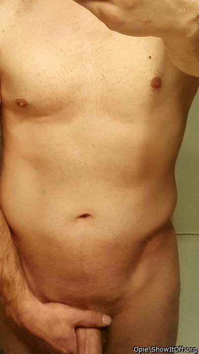 Photo of a middle leg from Opie