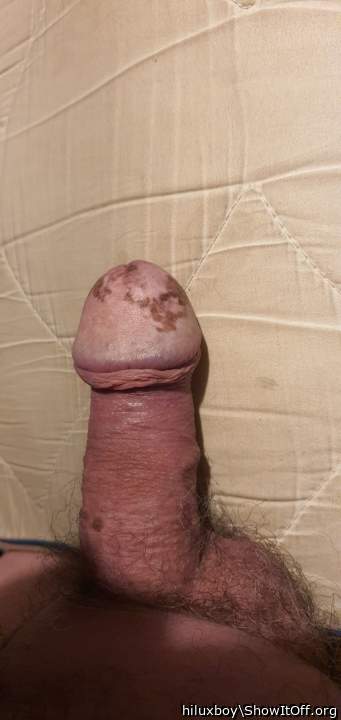 Photo of a cock from hiluxboy