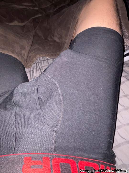 Photo of a weasel from Always_Hard69