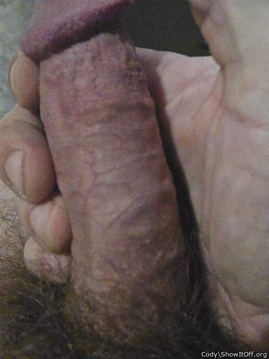 Photo of a third leg from Cody