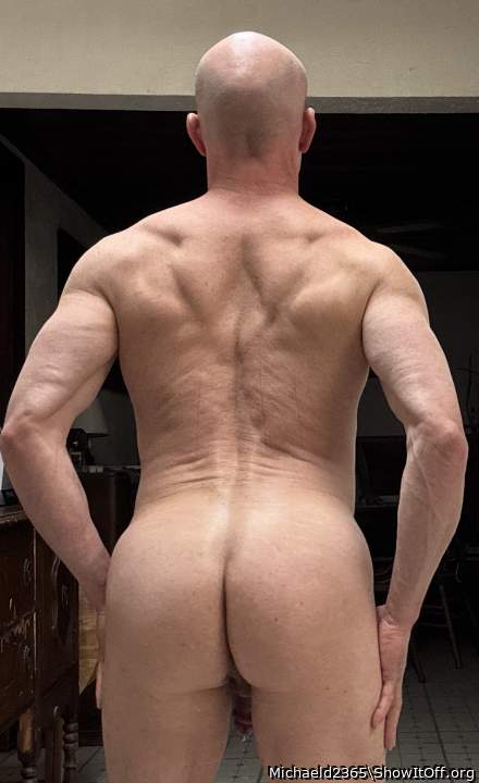 Photo of a snake from Michaeld2365