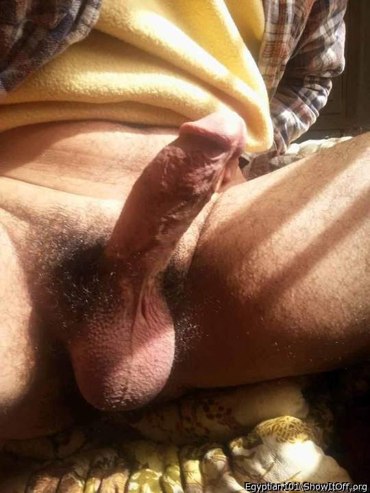 I would love to suck your cock  