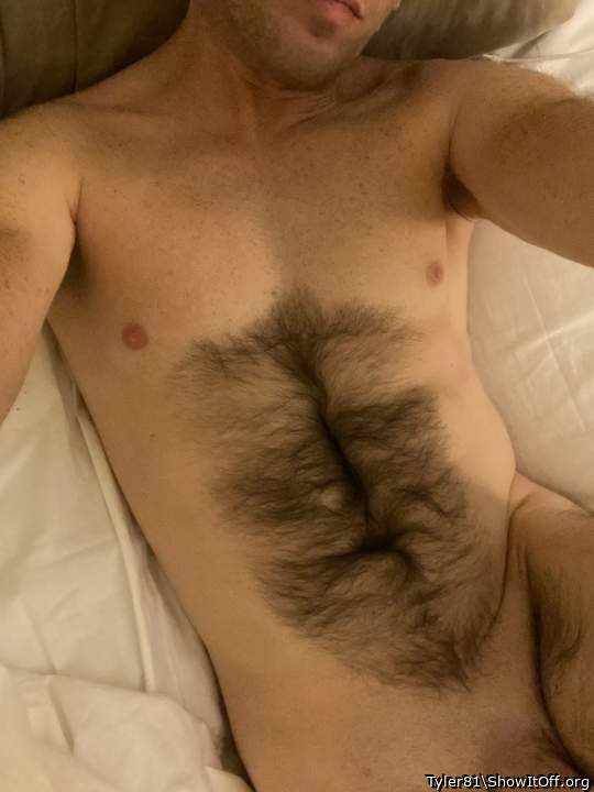 Photo of a cavalier from Tyler81