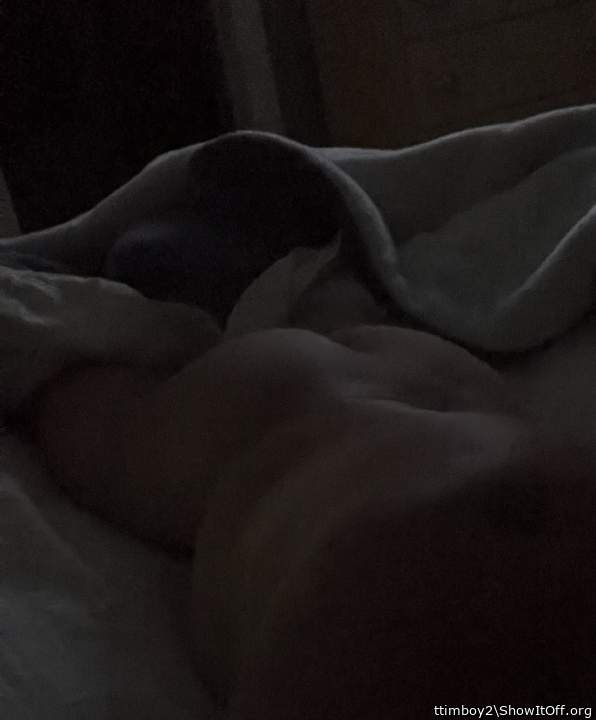 Photo of a cavalier from ttimboy2