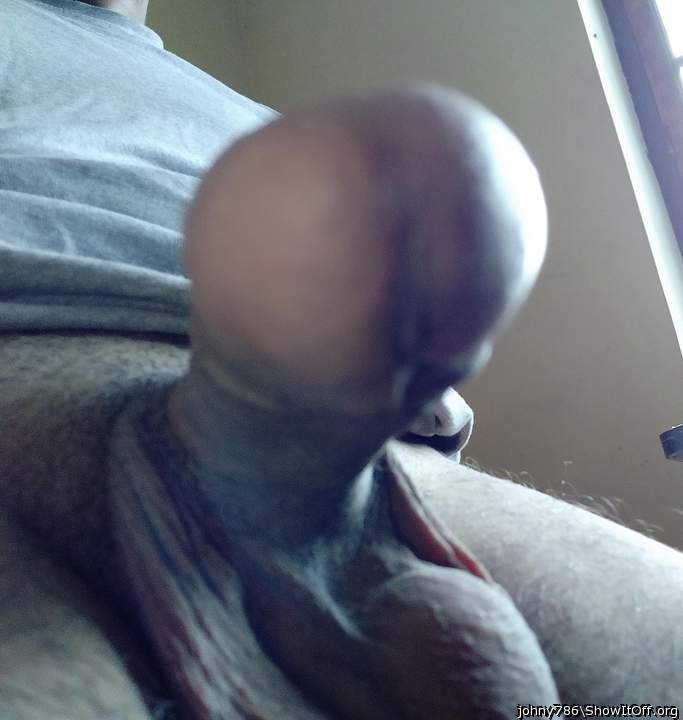Photo of a dick from johny786