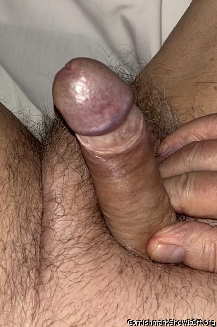 Photo of a weasel from Cornishman