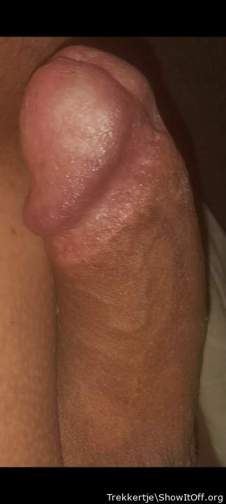 Small dick closeup circumcised shaved and ready