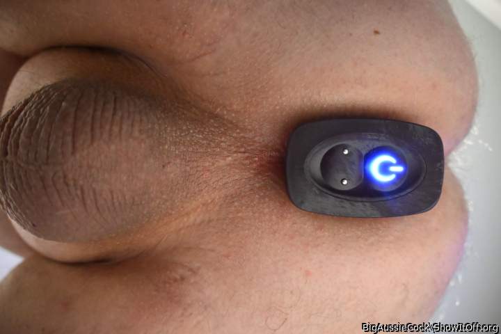 ass toy
