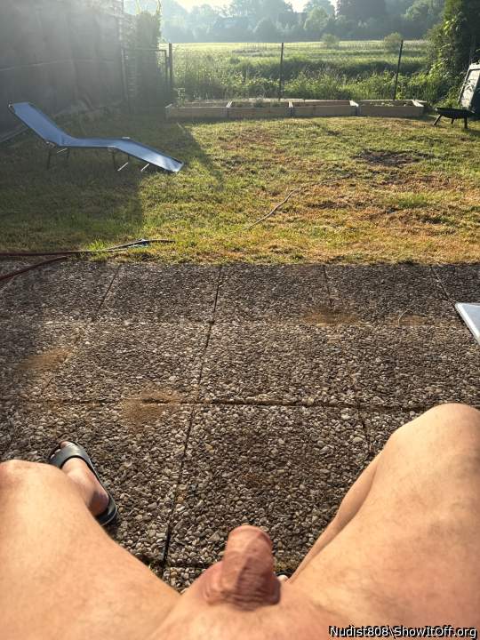 Photo of a cock from Nudist808