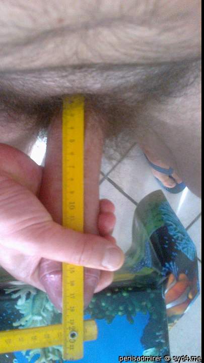 nice, mins is 17cm. how much in girth?