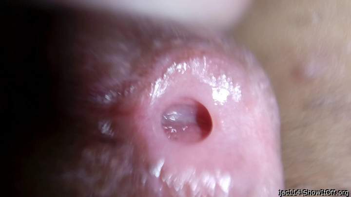 Photo of a bald-headed mouse from jac114