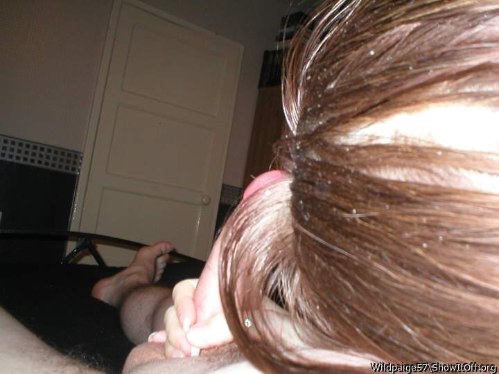 Photo of a middle leg from Wildpaige57