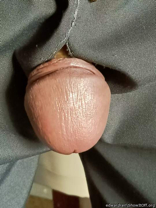 Photo of a stiffie from edwardren