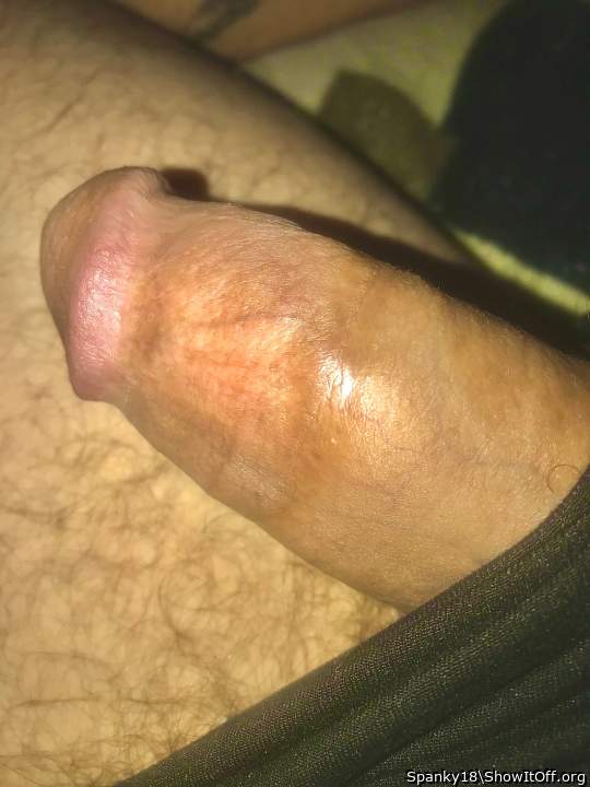Photo of a snake from Spanky18