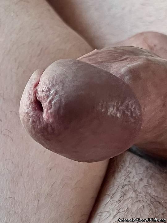 Photo of a wiener from Antonek