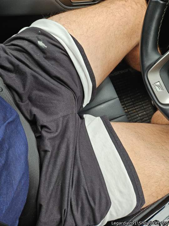 Photo of a third leg from Legardien91