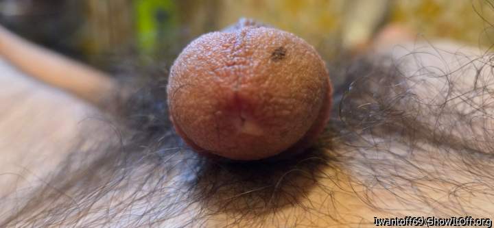 Photo of a purple headed monster from Iwantoff69