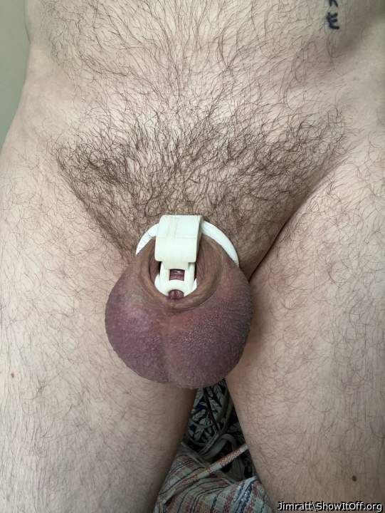 Photo of a schlong from Jimratt