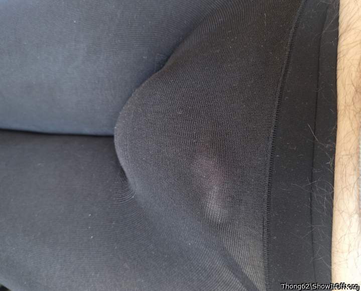 Photo of a middle leg from Thong62