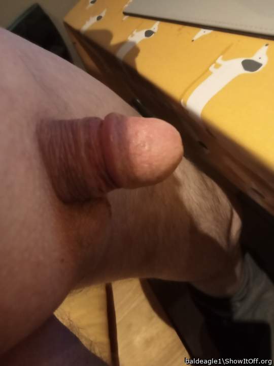 Beautiful sexy dick and balls 