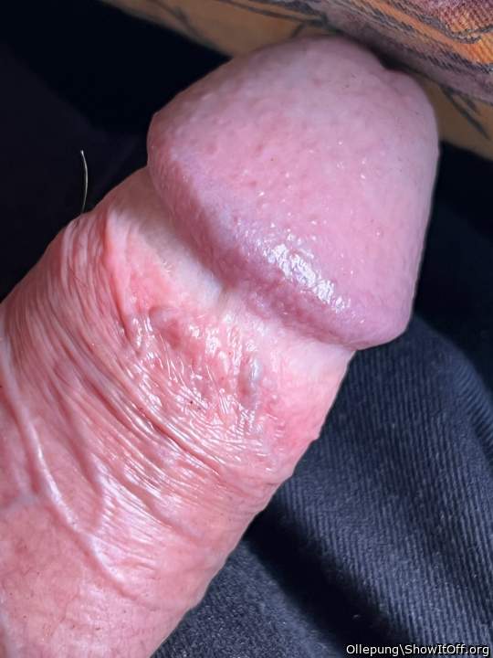 Photo of a short leg from Ollepung
