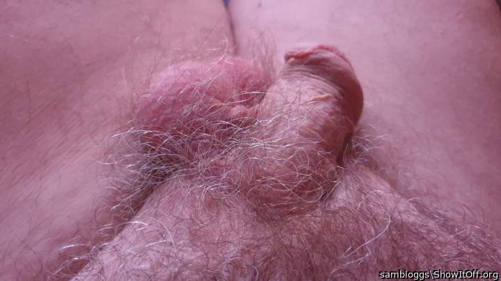 Photo of a equipment from sambloggs