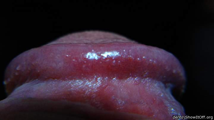 Photo of a phallus from dento