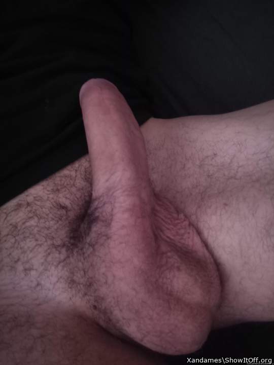 Photo of a wiener from Xandames