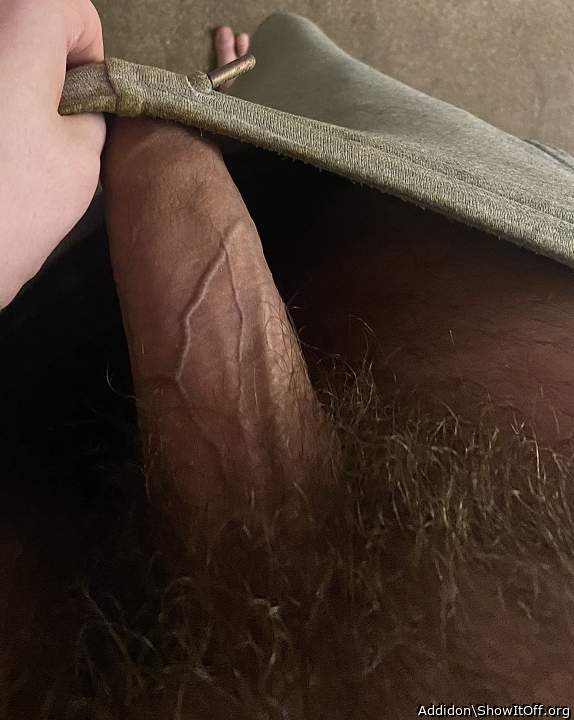 Photo of a python from Addidon