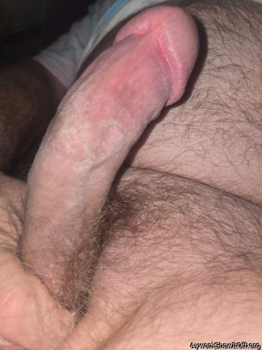 Photo of a third leg from Aywon