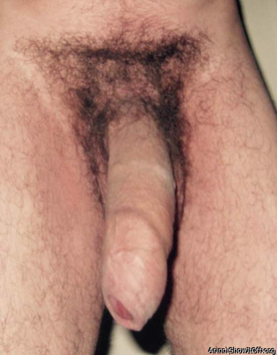 Photo of a hot dog from Arinn