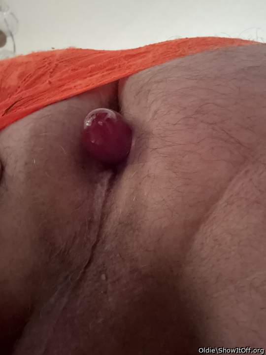 Photo of a bald-headed mouse from Oldie